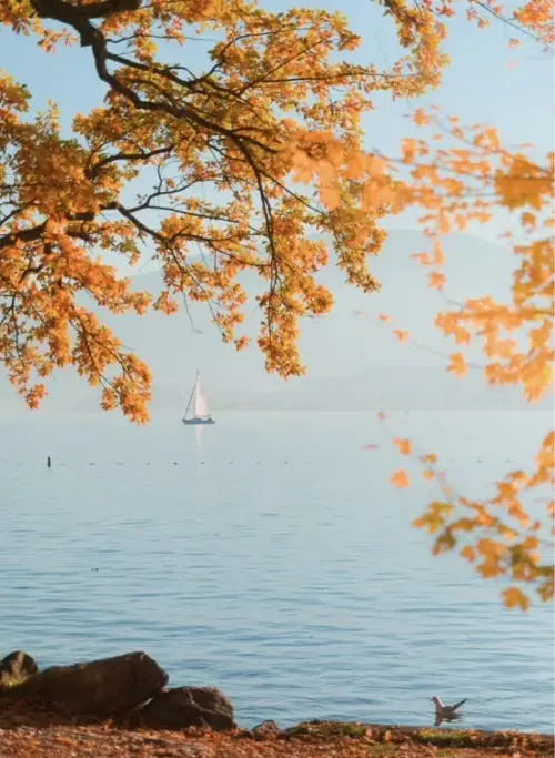 Autumn lake reference photo from Lake Traunsee in Gmunden, Austria