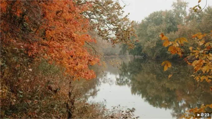 Peaceful river video reference