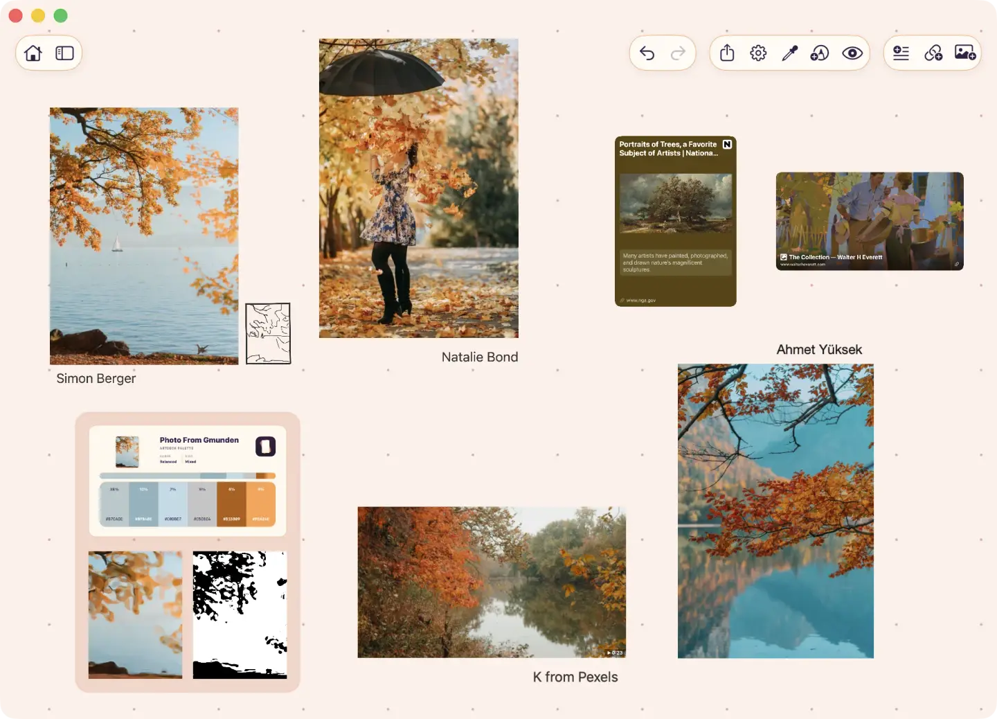 An ArtDeck board arranging autumn photo references, a video, web link cards, labels, an extracted line study, and a generated image together on one canvas.