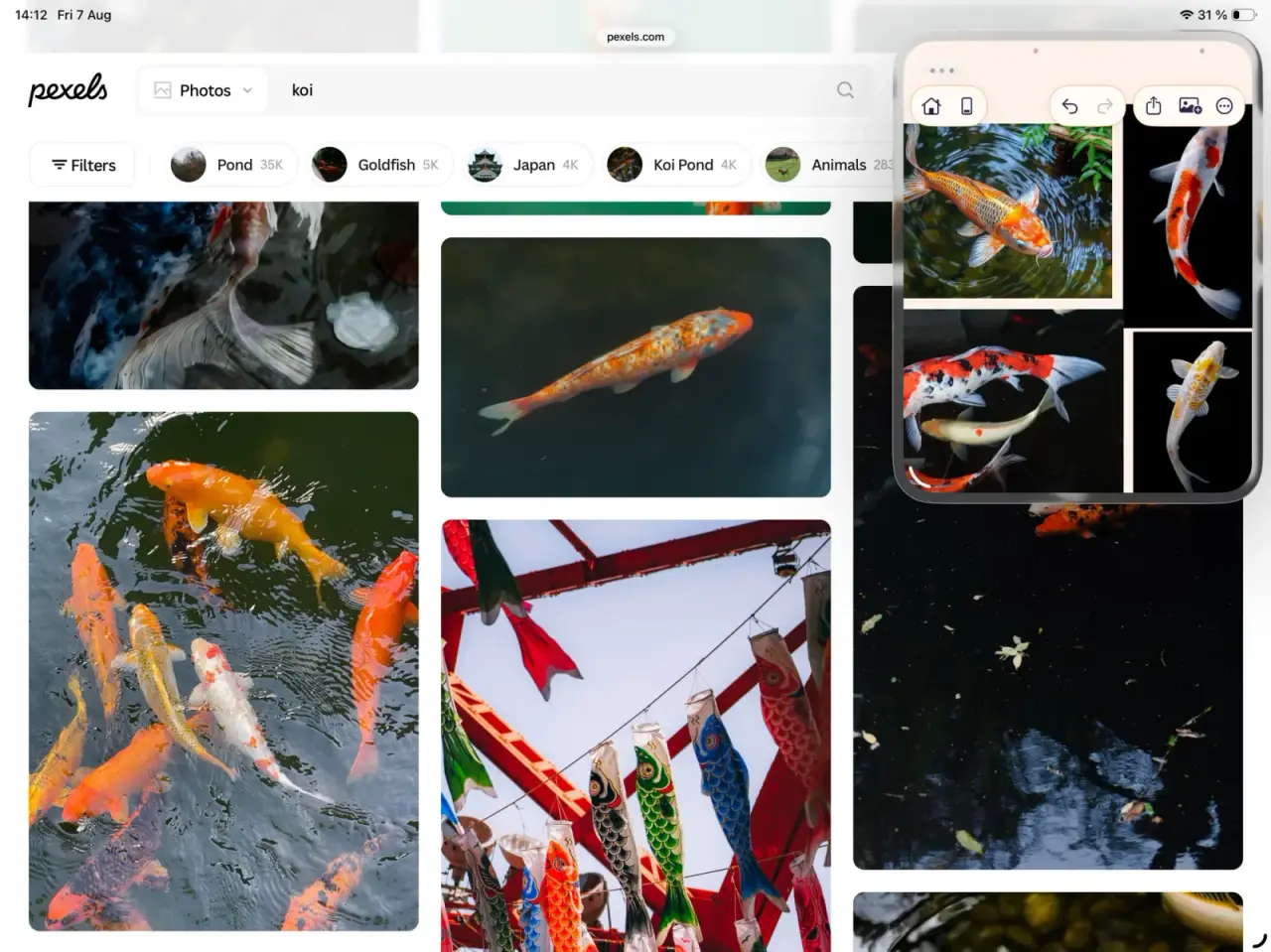 ArtDeck in an iPad Slide Over window above a Pexels search for koi photographs, with four of the results already collected on the board